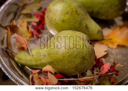 Rural vintage autumn ripe green pears, yellow leaves on a silver tray, natural fall style decorations. Natural plenteous fruits vintage background.