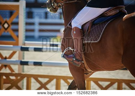 Rider on bay horse in competitions. Jumping show