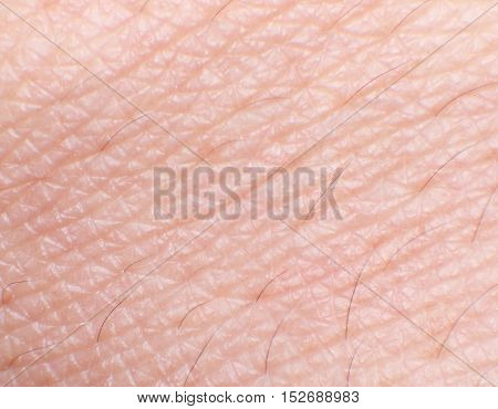 Close up Human Skin (Back of Hand)