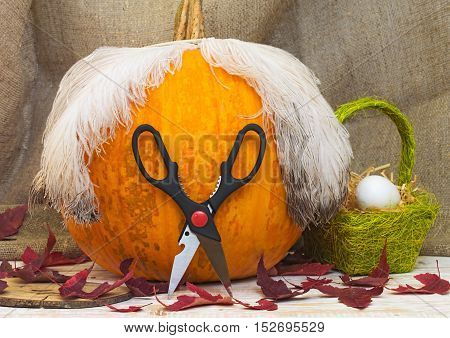 Pumpkin on the table close-up. Halloween pumpkin