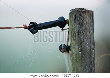 Close-up of electric fence in morning mist. Geesteren. Gelderland. The Netherlands.
