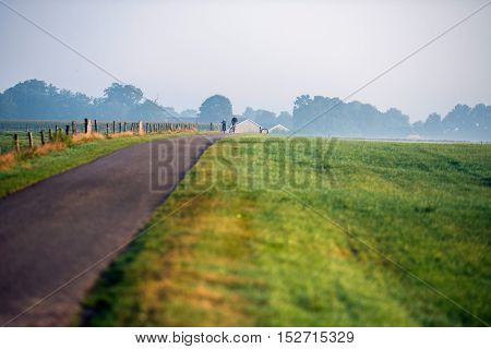 Father And Children Cycling On Rural Road In Morning Mist. Geesteren. Gelderland. The Netherlands.