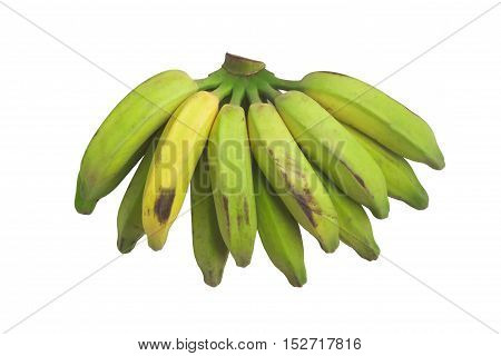 Organic Green Banana. Prata on white background