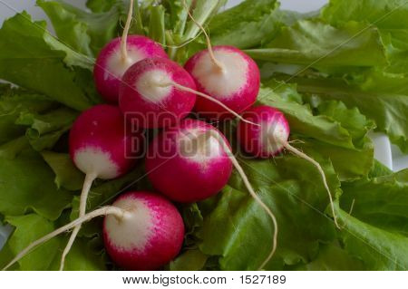 Insalata verde e rossa Radich