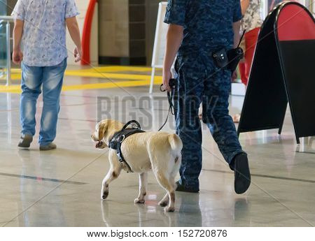The police officer and service dog go to the airport lounge.