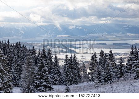 Winter mountain landscape - top view on snow covered valley and spruce forest. High Tatras in the background. Slovakia.