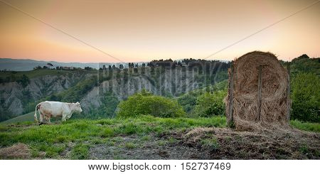 Volterra, Pisa - Italy