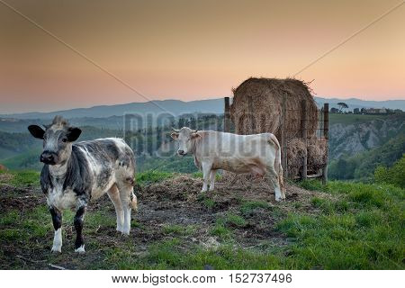 Volterra, Pisa - Italy