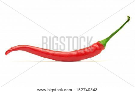 Red hot chili pepper isolated on a white background