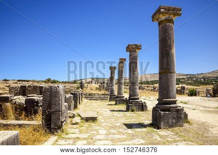 Ruins of city Volubilis, Roman city, Morocco, ancient capital of the kingdom of Mauretania.