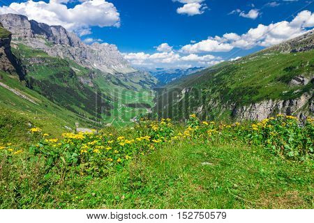 Rapid Stream In Klausen Pass, Switzerland