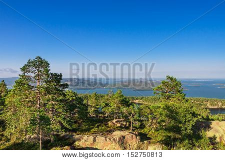 Baltic sea and forest seen from Slattdalsskrevan in Skuleskogen national park, Ornskoldsvik, Sweden