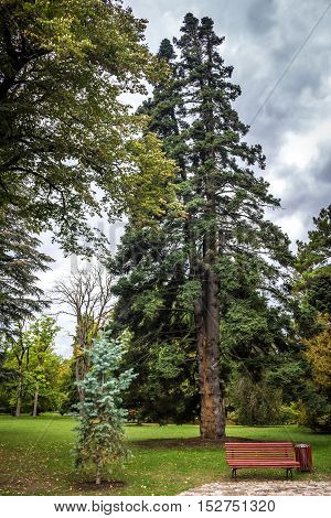 Chavchavadze park in Tsinandali Kakhetia Georgia. nature