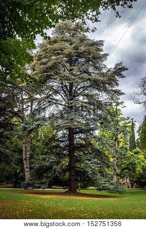 Chavchavadze park in Tsinandali Kakhetia Georgia. nature