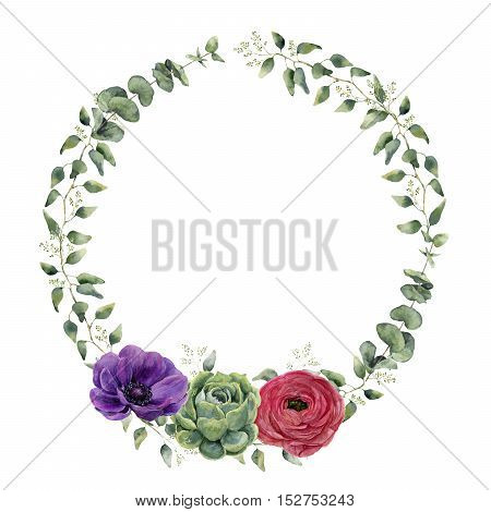 Watercolor floral wreath with eucalyptus, baby eucalyptus leaves, ranunculus, anemone and succulent. Hand painted floral border with branches and flowers isolated on white background