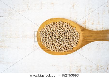 Giant wholegrain couscous in wooden spoon horizontal selective focus