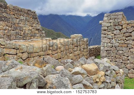 Rabbit on the ruins of Machu Picchu. Peru