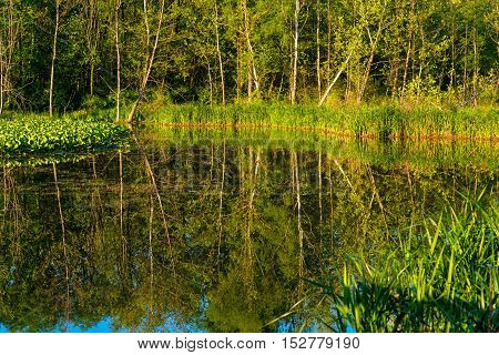 Trees reflected in the pond at Beaver Marsh in Cuyahoga Valley National Park