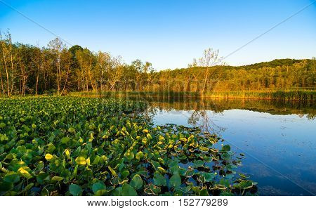 Beaver Marsh in Cuyahoga Valley National Park between Cleveland and Akron