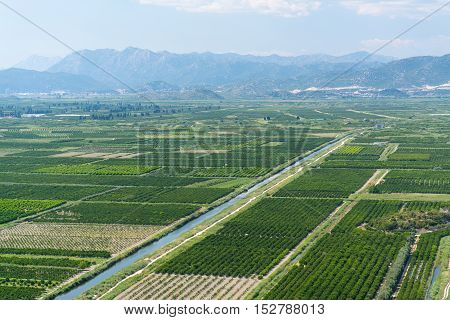 aerial view of beautiful Neretva valley in southern Croatia with numerous crop fields and hills in distance.