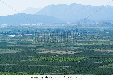 aerial view of beautiful Neretva valley in southern Croatia with numerous crop fields and hills in distance.