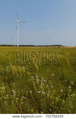 Windturbine At Sunny Day