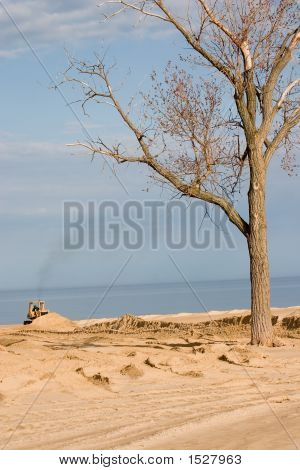 Drzemał na plaży