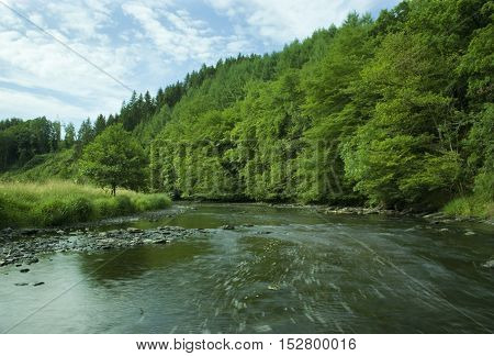 The Ourthe river running wild surrounded by green forest.