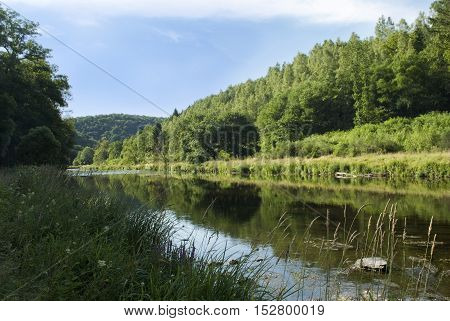 The Ourthe river running wild surrounded by green forest.