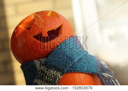 orange pumpkin in a dark blue scarf crazy guffaws / festive fun Halloween story