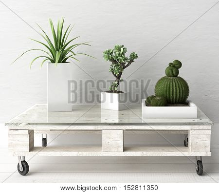 Succulent plant on pallet table, 3d illustration