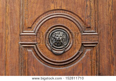 Dusty lion head door knocker. Door detail.