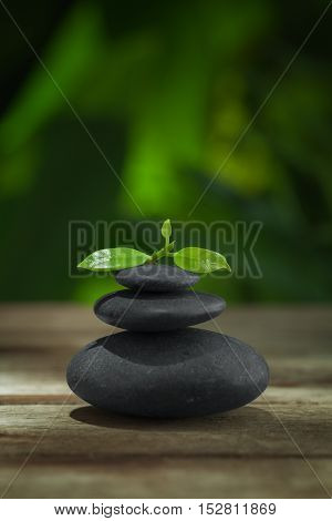 close up view of gray stones and leaf on color back.