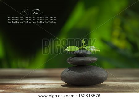 close up view of gray stones and leaf on color back. Banner, extra space for your text.