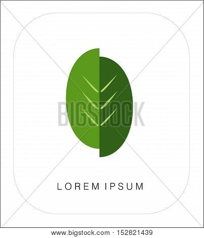 Green Leaf Eco Logo. Company identity concept vector.