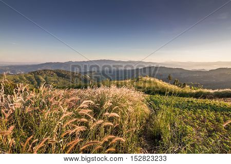 Beautiful mountain at Doi Chang ,Chiang Rai