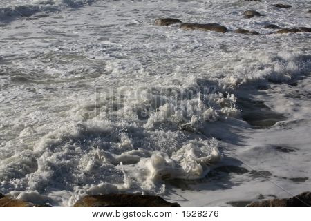 海