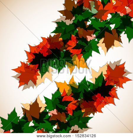 Autumn background of maple leaves. Colofrul image