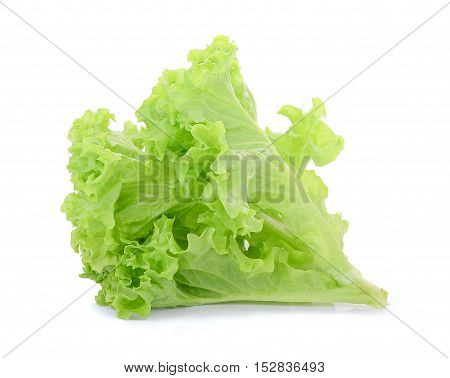 Green oak lettuce isolated on white background