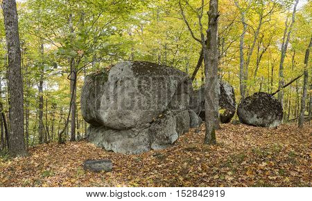 Large Precambrian Boulders In A Fall Forest - Ontario, Canada