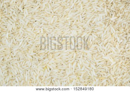 close up of a rice for background