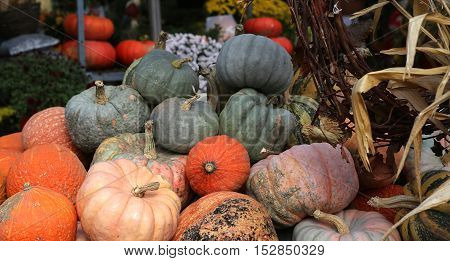 Squashs In A Market, Montreal, Quebec, Canada
