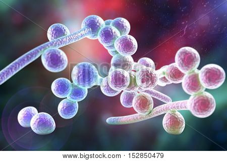 3D illustration of fungi Candida albicans which cause candidiasis, thrush, on colorful background. Pathological fungus or yeast