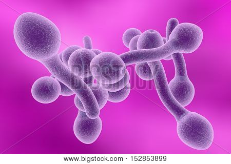 3D illustration of fungi Candida albicans which cause candidiasis, thrush, on colorful background. Pathological fungus or yeast