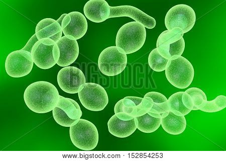 3D illustration of fungi Candida albicans which cause candidiasis, thrush, on colorful background. Pathological fungus or yeast