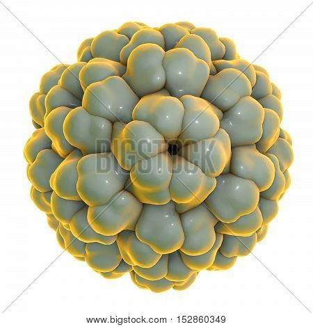 Brome mosaic virus isolated on white background, 3D illustration. A model is built using data of viral macromolecular structure furnished by Protein Data Bank PDB 3J7L