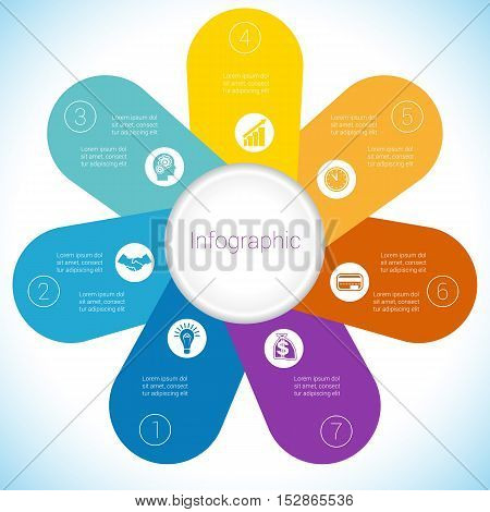 Flower Camomile infographic template colourful petals seven positions.