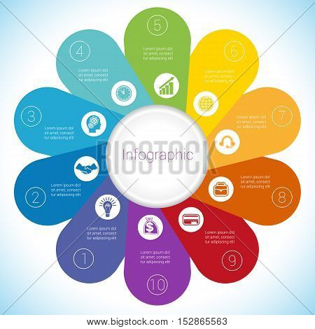 Flower Camomile infographic template colourful petals ten positions.
