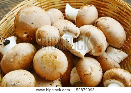 Fresh cremini mushrooms in the basket on wooden floor.