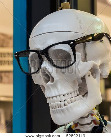 Model of human skull in black glasses frame